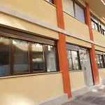 Palafox 23